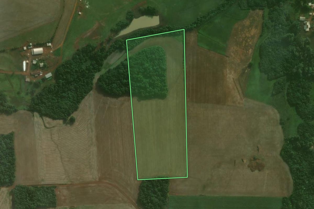 Imagem de satélite do imóvel rural em Augusto Pestana (RS), com o contorno declarado no CAR desenhado por cima.