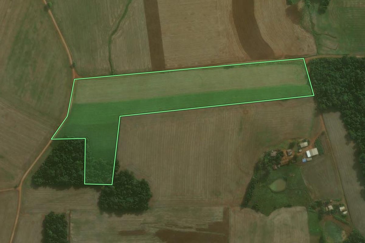 Imagem de satélite do imóvel rural em Augusto Pestana (RS), com o contorno declarado no CAR desenhado por cima.