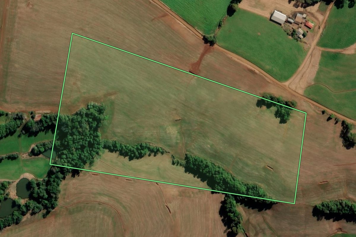Imagem de satélite do imóvel rural em Augusto Pestana (RS), com o contorno declarado no CAR desenhado por cima.