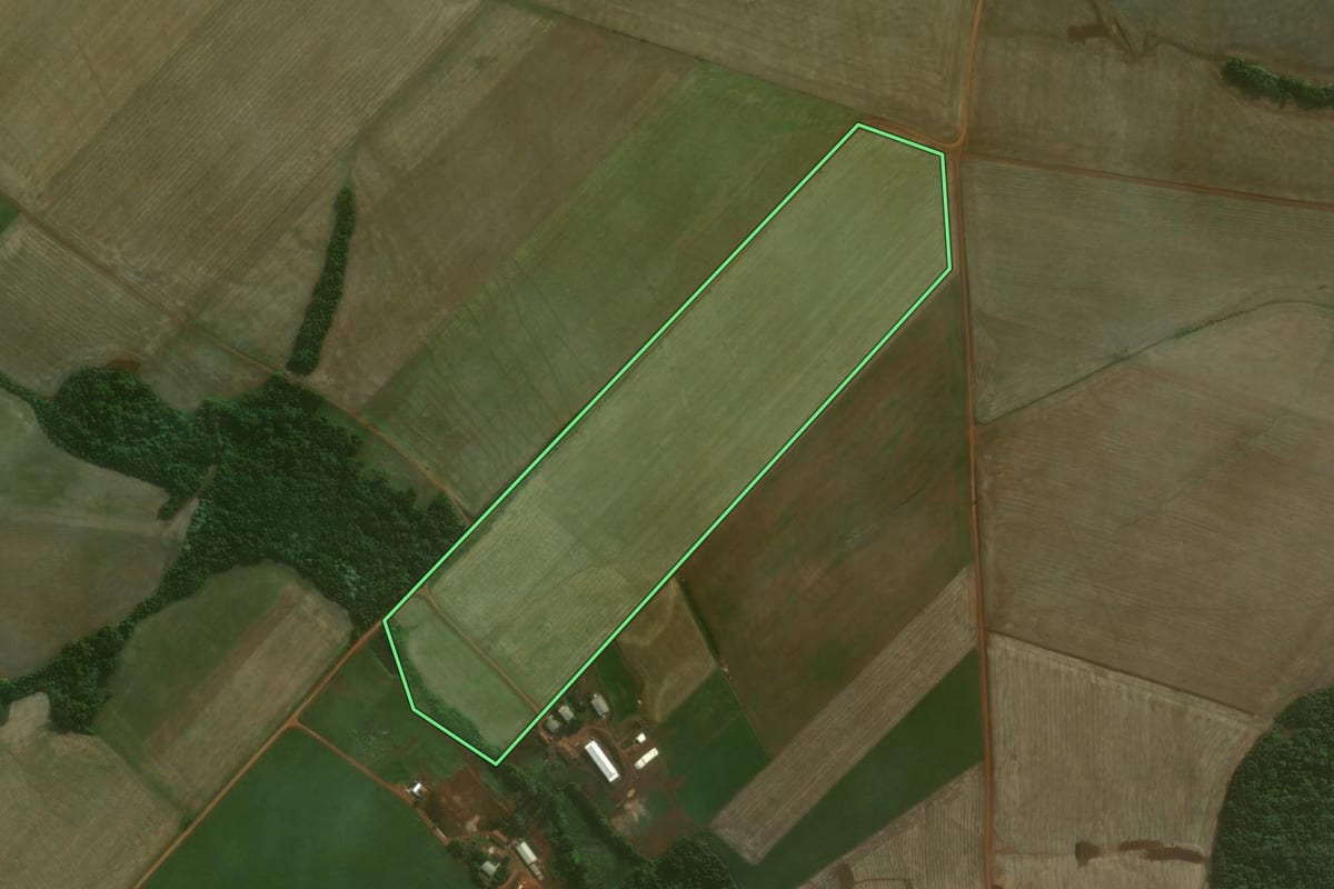 Imagem de satélite do imóvel rural em Augusto Pestana (RS), com o contorno declarado no CAR desenhado por cima.