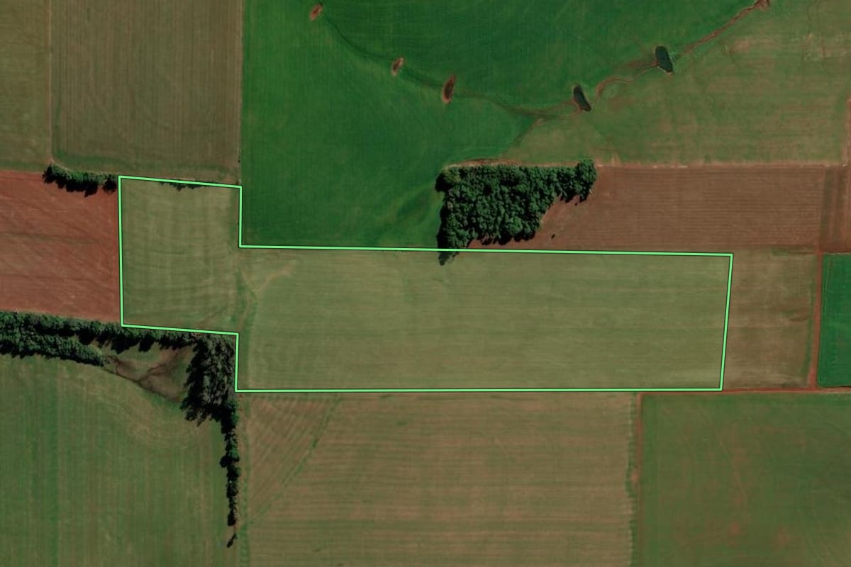 Imagem de satélite do imóvel rural em Augusto Pestana (RS), com o contorno declarado no CAR desenhado por cima.