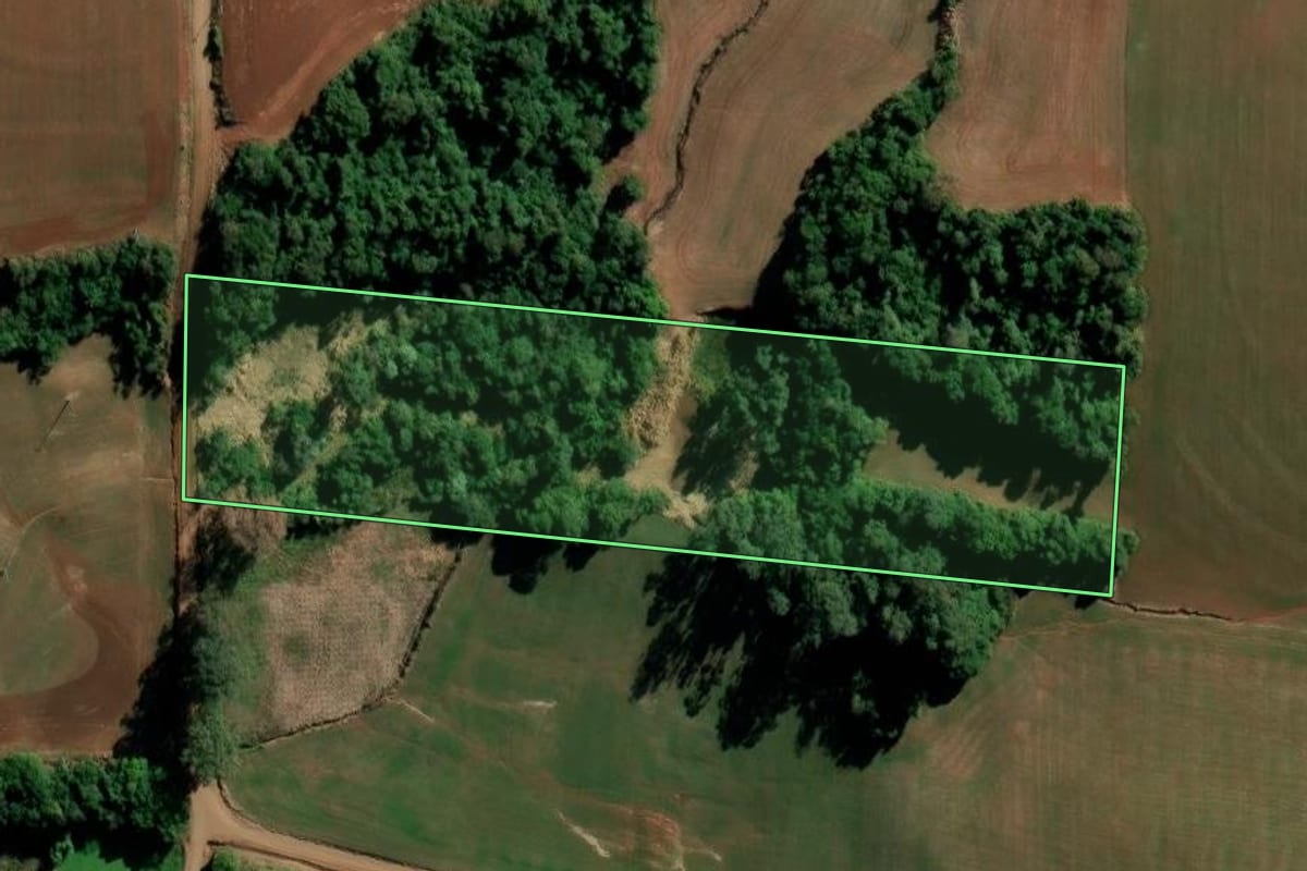 Imagem de satélite do imóvel rural em Augusto Pestana (RS), com o contorno declarado no CAR desenhado por cima.
