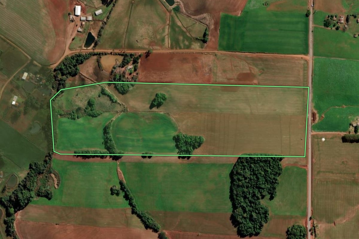 Imagem de satélite do imóvel rural em Augusto Pestana (RS), com o contorno declarado no CAR desenhado por cima.