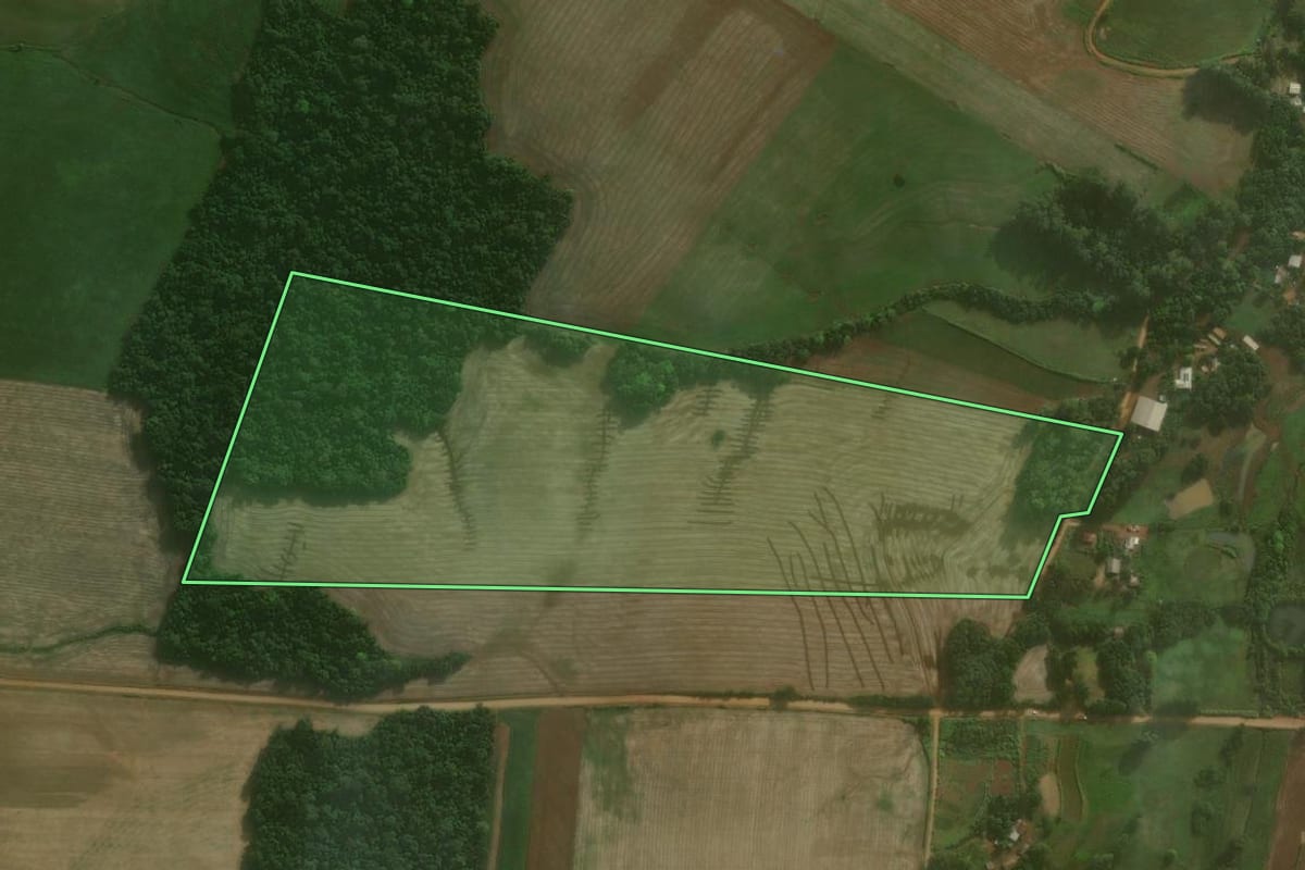 Imagem de satélite do imóvel rural em Augusto Pestana (RS), com o contorno declarado no CAR desenhado por cima.