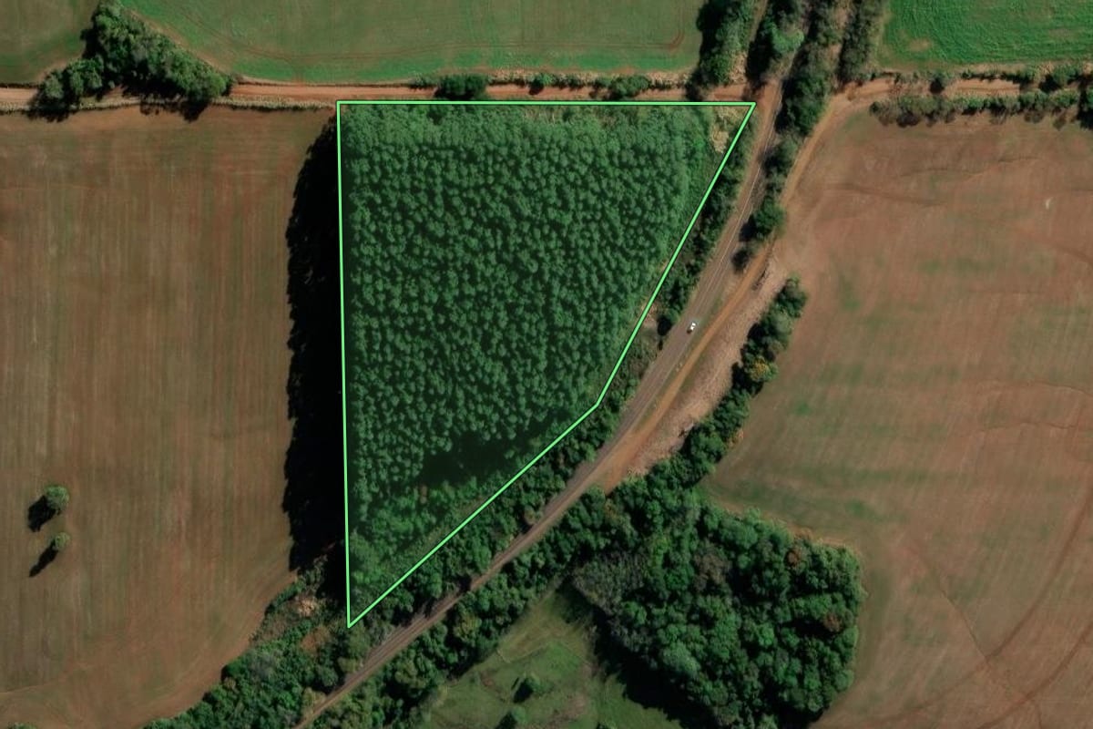 Imagem de satélite do imóvel rural em Augusto Pestana (RS), com o contorno declarado no CAR desenhado por cima.