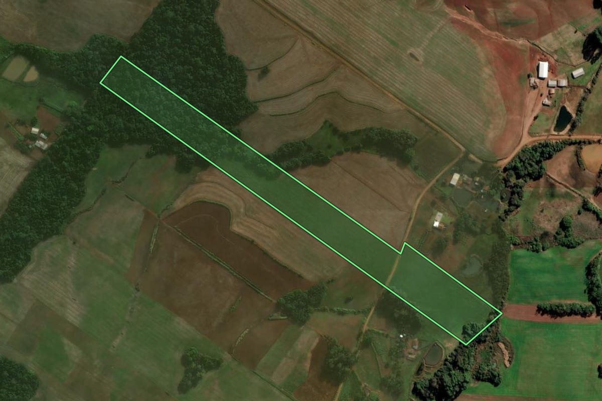 Imagem de satélite do imóvel rural em Augusto Pestana (RS), com o contorno declarado no CAR desenhado por cima.