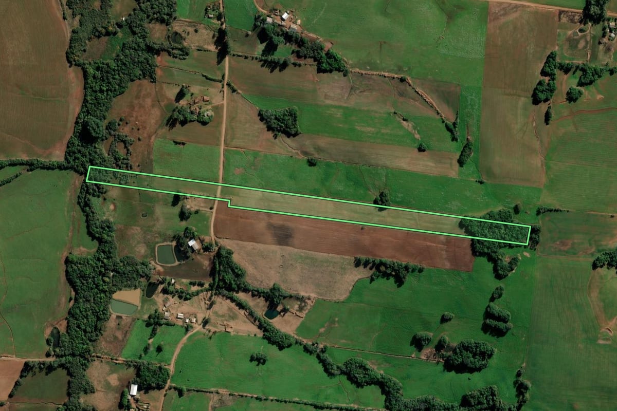 Imagem de satélite do imóvel rural em Augusto Pestana (RS), com o contorno declarado no CAR desenhado por cima.