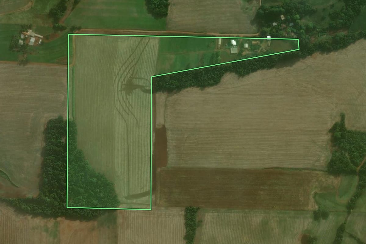 Imagem de satélite do imóvel rural em Augusto Pestana (RS), com o contorno declarado no CAR desenhado por cima.
