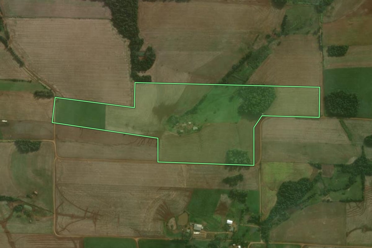 Imagem de satélite do imóvel rural em Augusto Pestana (RS), com o contorno declarado no CAR desenhado por cima.