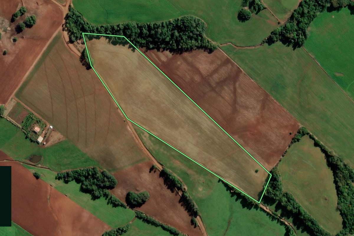Imagem de satélite do imóvel rural em Augusto Pestana (RS), com o contorno declarado no CAR desenhado por cima.