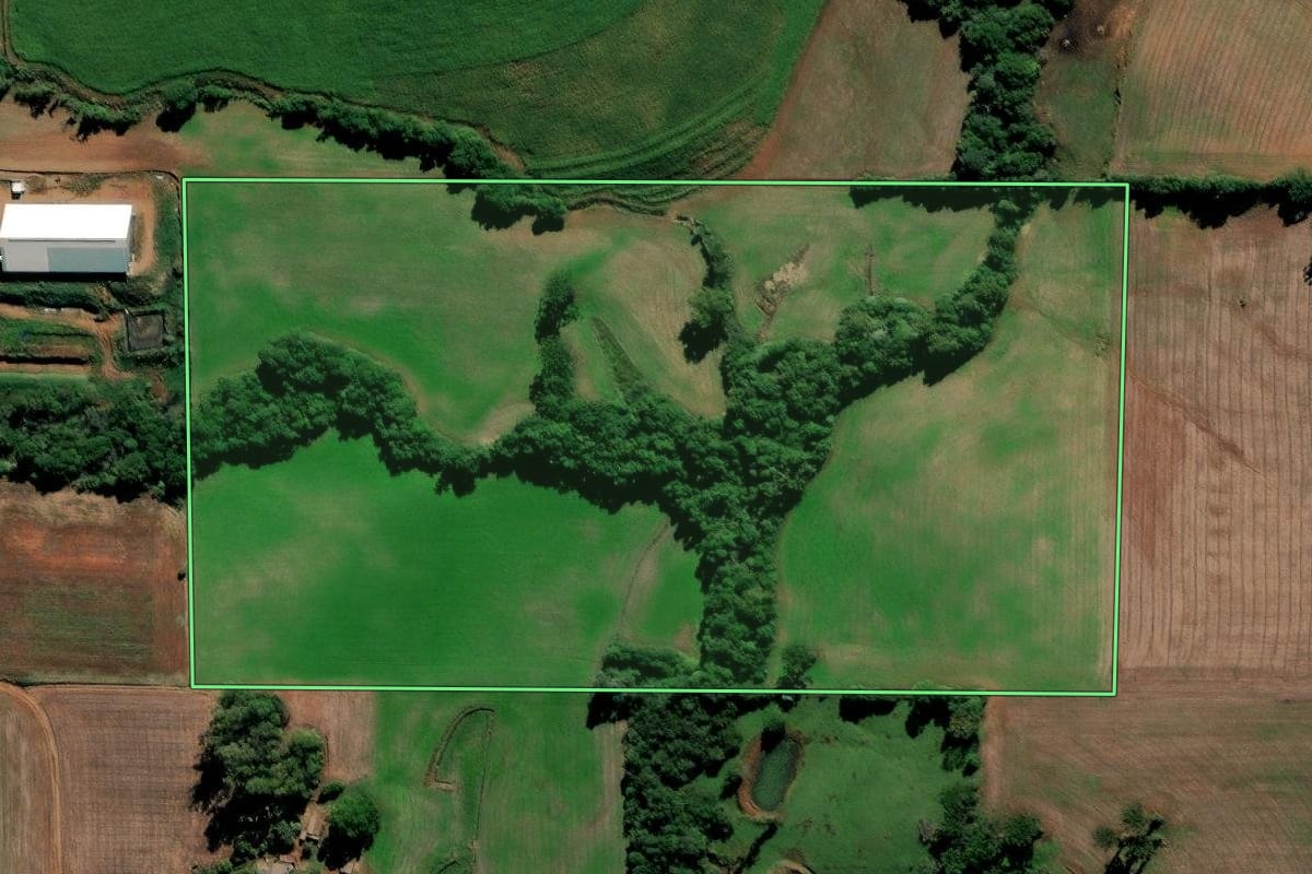 Imagem de satélite do imóvel rural em Augusto Pestana (RS), com o contorno declarado no CAR desenhado por cima.