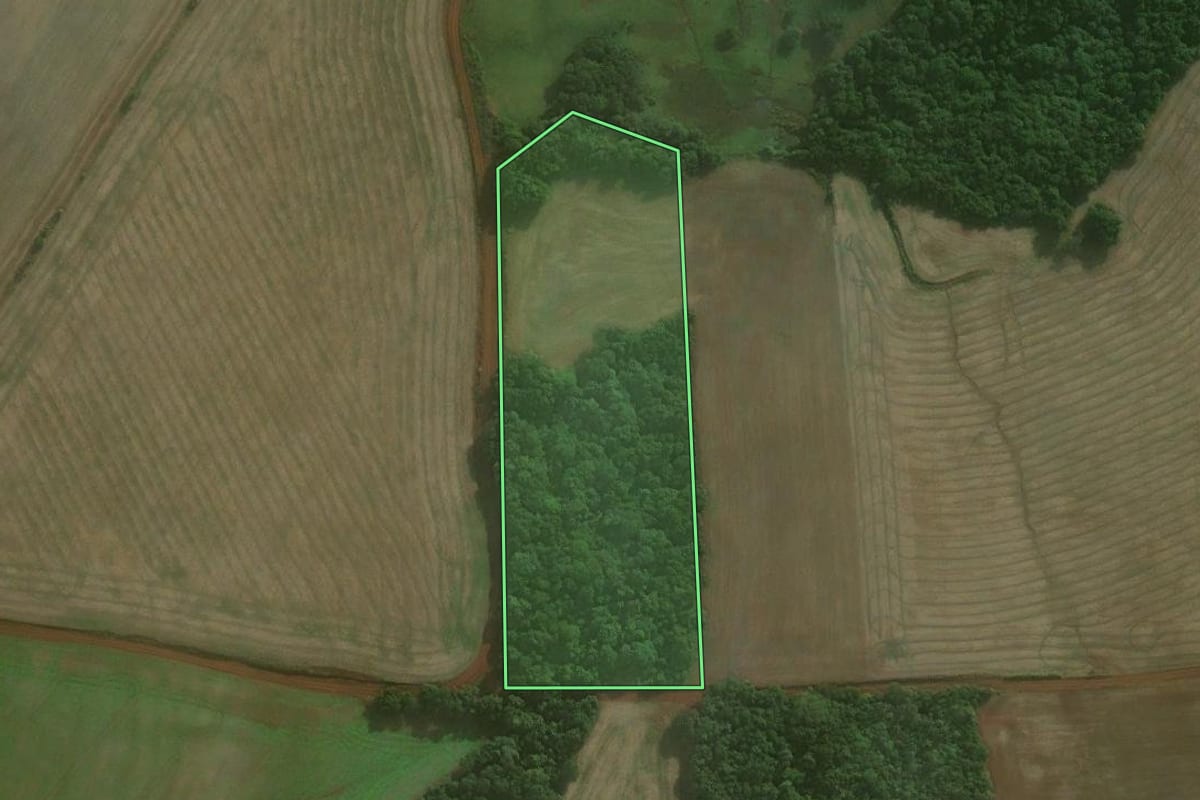 Imagem de satélite do imóvel rural em Augusto Pestana (RS), com o contorno declarado no CAR desenhado por cima.
