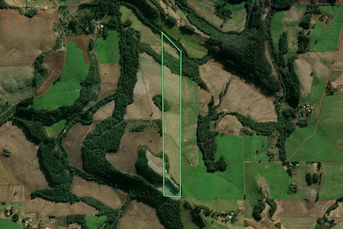 Imagem de satélite do imóvel rural em Áurea (RS), com o contorno declarado no CAR desenhado por cima.