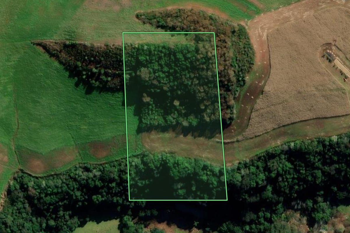 Imagem de satélite do imóvel rural em Áurea (RS), com o contorno declarado no CAR desenhado por cima.
