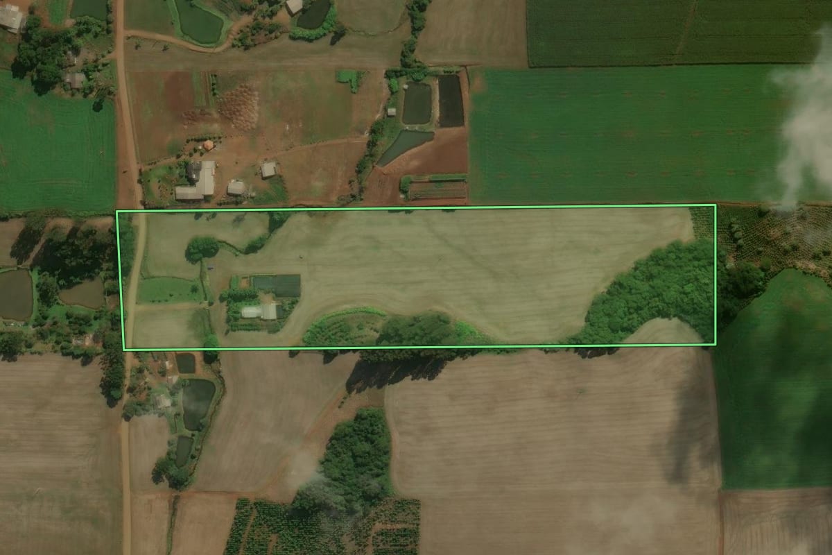 Imagem de satélite do imóvel rural em Áurea (RS), com o contorno declarado no CAR desenhado por cima.