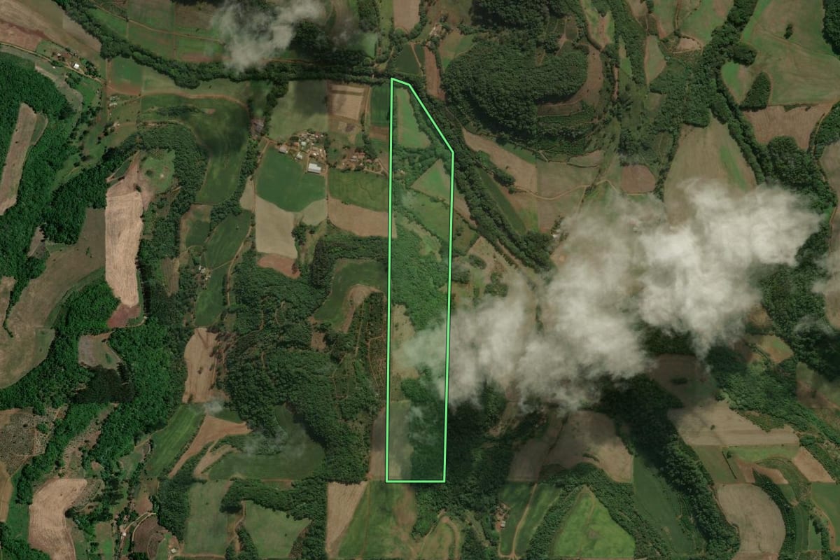Imagem de satélite do imóvel rural em Áurea (RS), com o contorno declarado no CAR desenhado por cima.