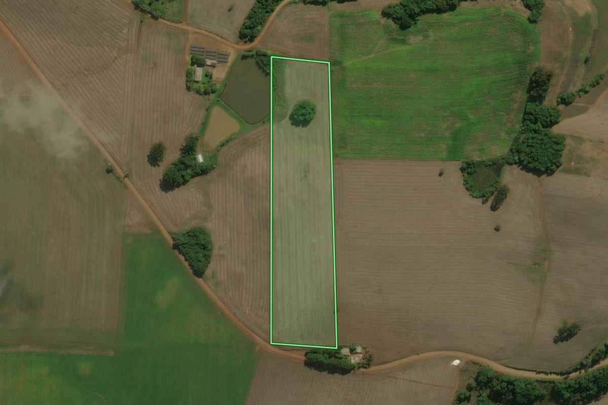 Imagem de satélite do imóvel rural em Áurea (RS), com o contorno declarado no CAR desenhado por cima.