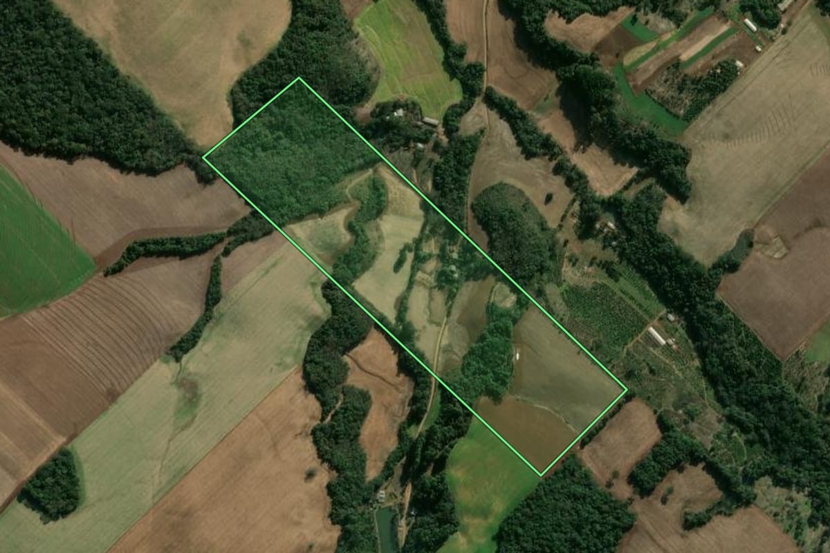 Imagem de satélite do imóvel rural em Áurea (RS), com o contorno declarado no CAR desenhado por cima.