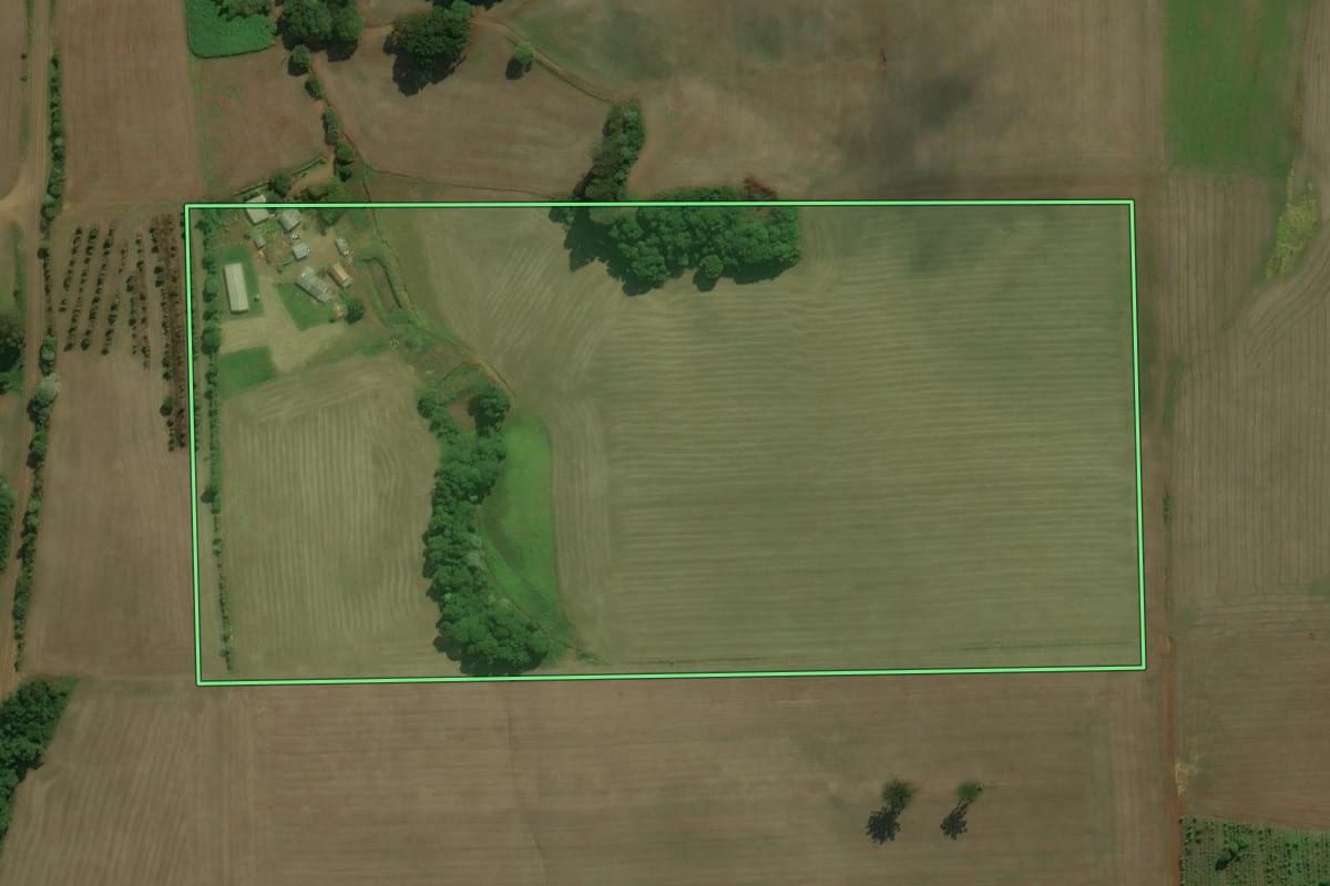 Imagem de satélite do imóvel rural em Áurea (RS), com o contorno declarado no CAR desenhado por cima.