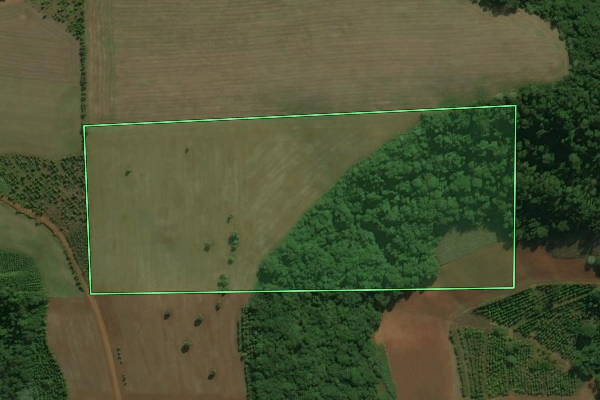 Imagem de satélite do imóvel rural em Áurea (RS), com o contorno declarado no CAR desenhado por cima.
