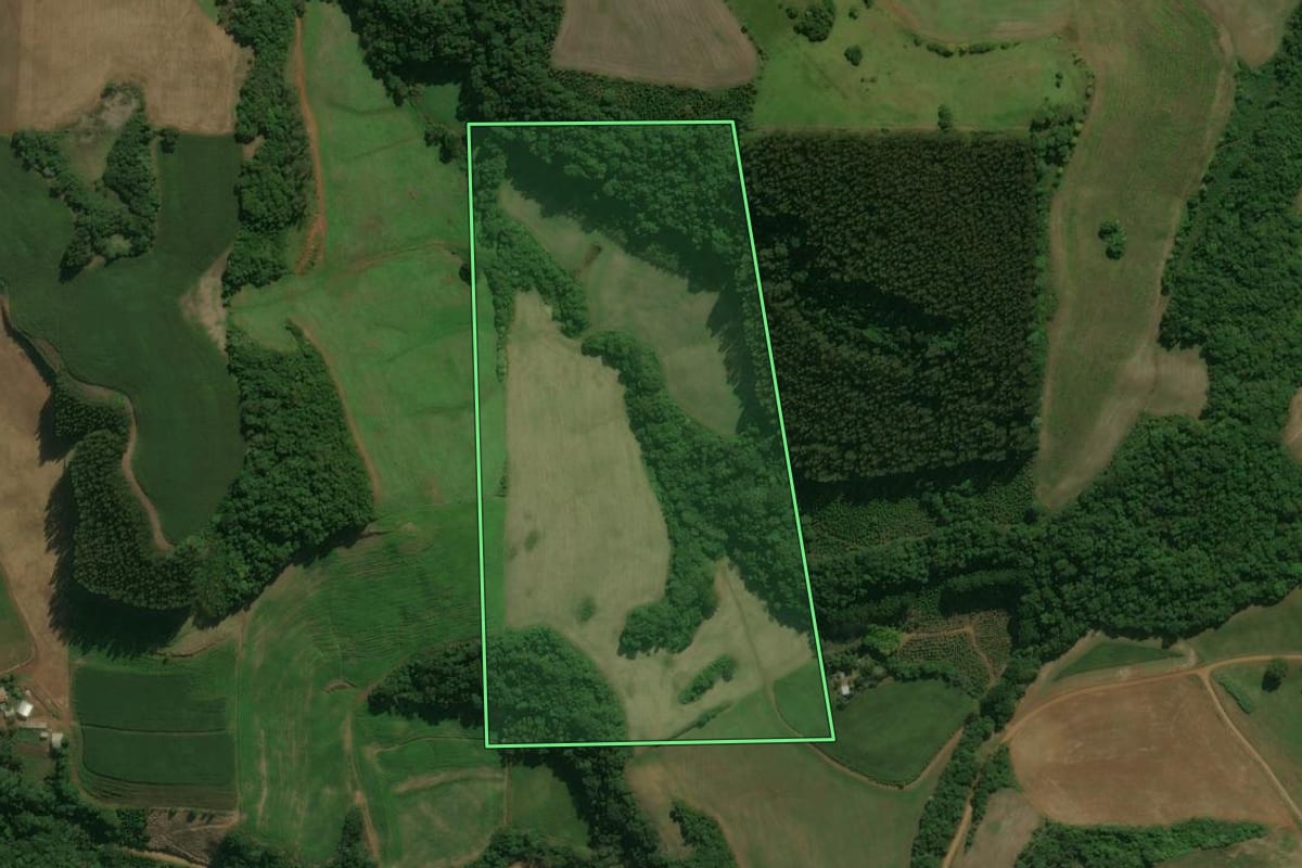 Imagem de satélite do imóvel rural em Áurea (RS), com o contorno declarado no CAR desenhado por cima.