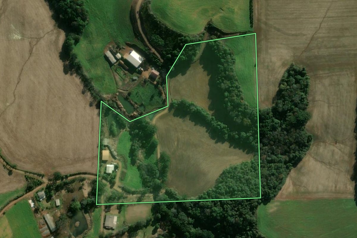 Imagem de satélite do imóvel rural em Áurea (RS), com o contorno declarado no CAR desenhado por cima.
