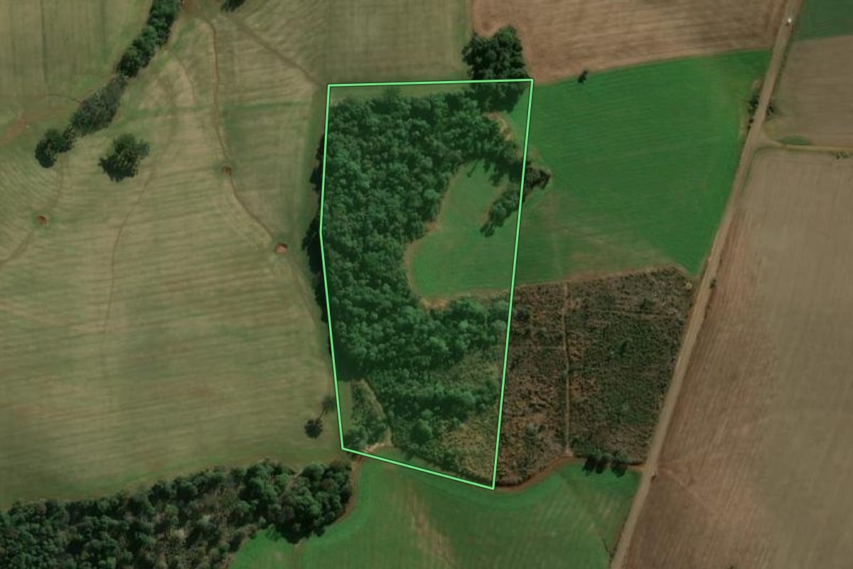 Imagem de satélite do imóvel rural em Áurea (RS), com o contorno declarado no CAR desenhado por cima.
