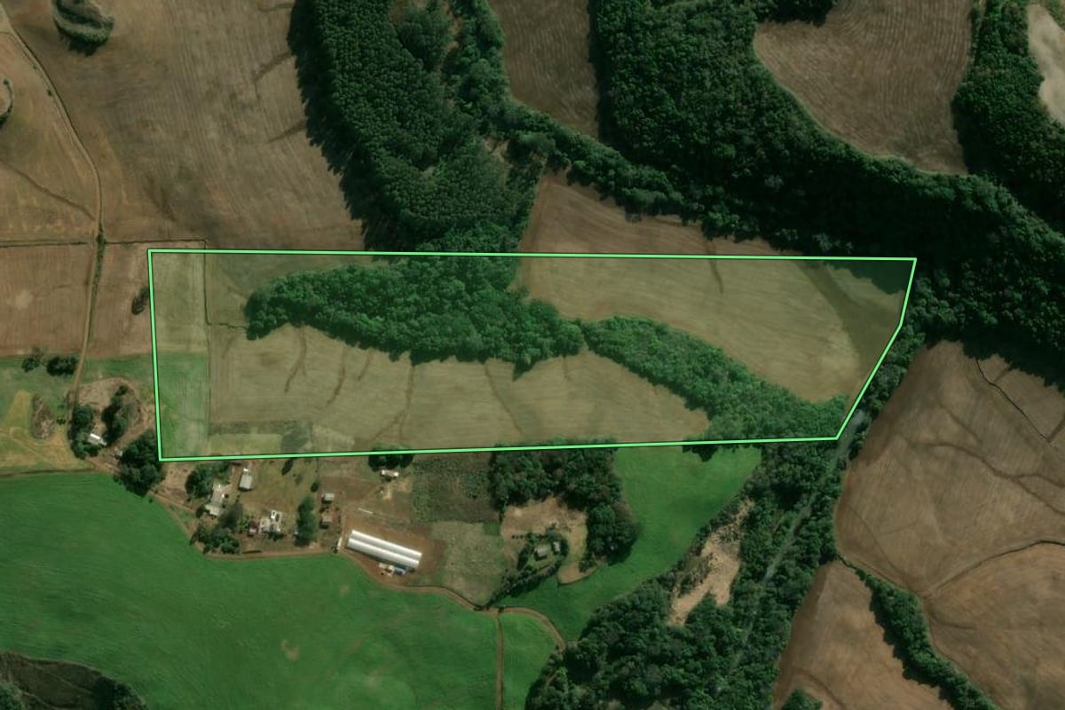 Imagem de satélite do imóvel rural em Áurea (RS), com o contorno declarado no CAR desenhado por cima.