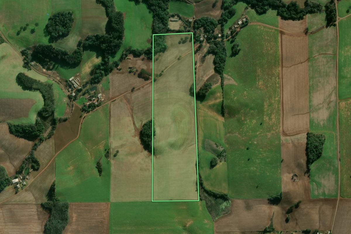 Imagem de satélite do imóvel rural em Áurea (RS), com o contorno declarado no CAR desenhado por cima.