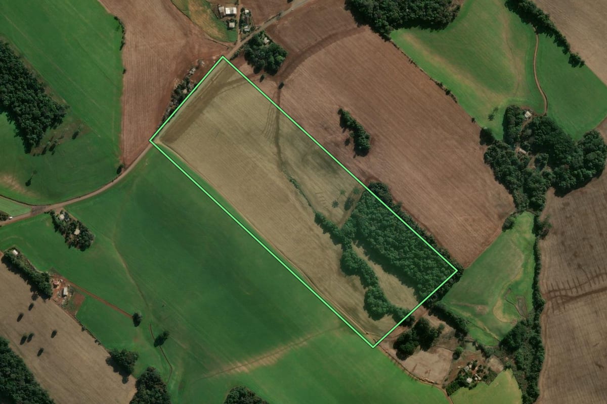 Imagem de satélite do imóvel rural em Áurea (RS), com o contorno declarado no CAR desenhado por cima.