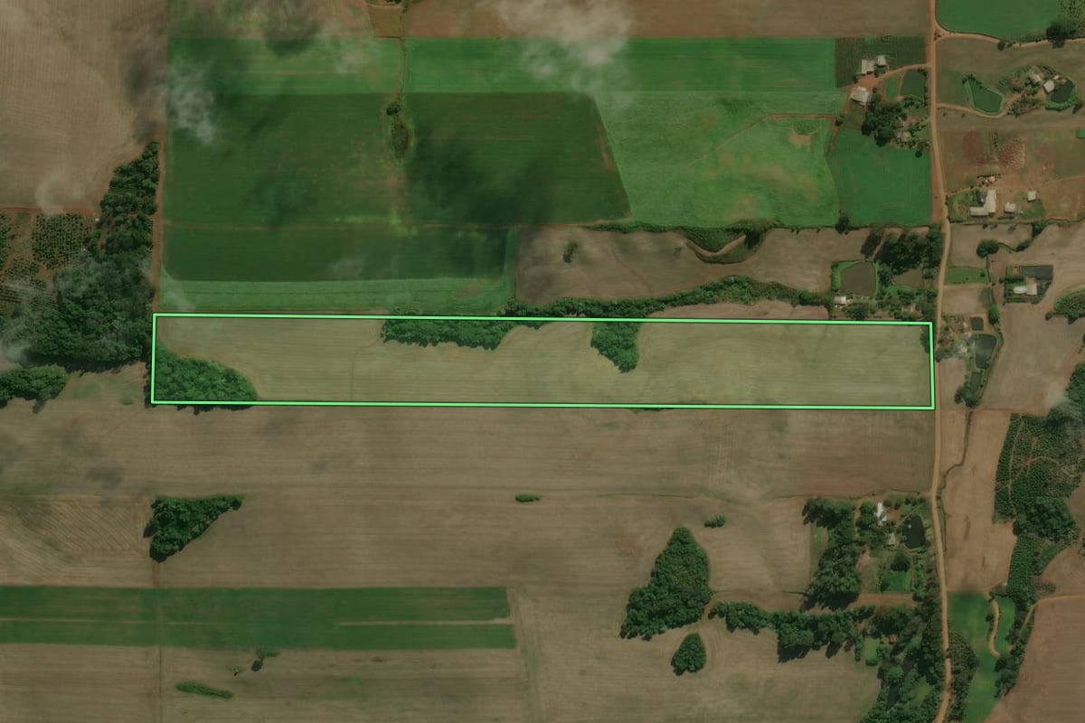 Imagem de satélite do imóvel rural em Áurea (RS), com o contorno declarado no CAR desenhado por cima.