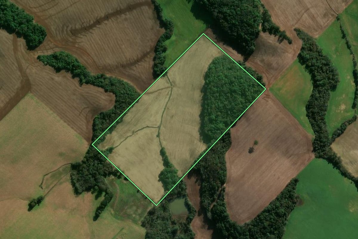 Imagem de satélite do imóvel rural em Áurea (RS), com o contorno declarado no CAR desenhado por cima.