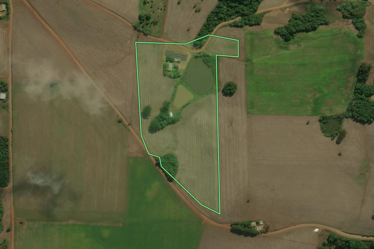 Imagem de satélite do imóvel rural em Áurea (RS), com o contorno declarado no CAR desenhado por cima.