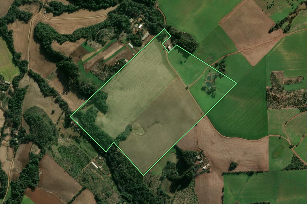 Imagem de satélite do imóvel rural em Áurea (RS), com o contorno declarado no CAR desenhado por cima.