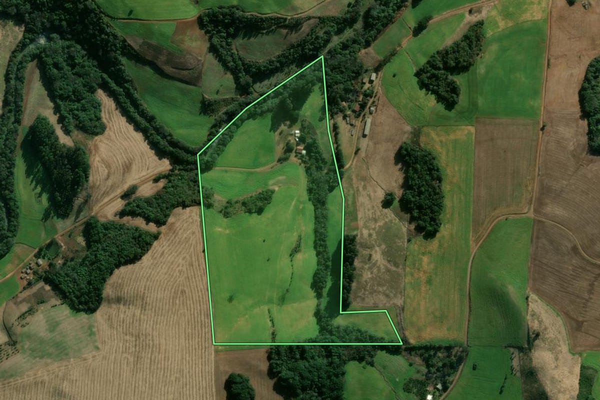 Imagem de satélite do imóvel rural em Áurea (RS), com o contorno declarado no CAR desenhado por cima.