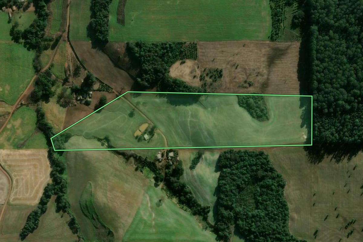 Imagem de satélite do imóvel rural em Áurea (RS), com o contorno declarado no CAR desenhado por cima.