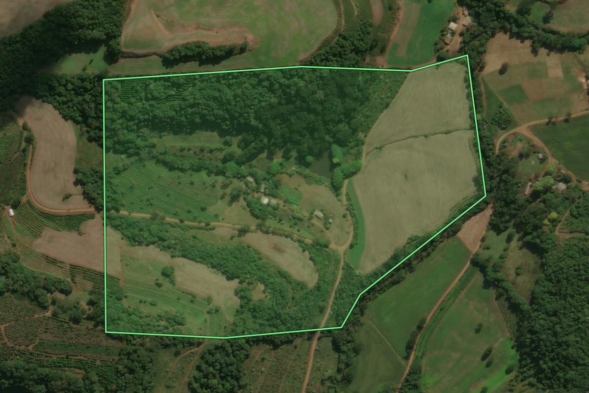 Imagem de satélite do imóvel rural em Áurea (RS), com o contorno declarado no CAR desenhado por cima.