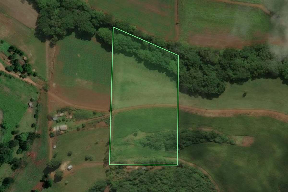 Imagem de satélite do imóvel rural em Áurea (RS), com o contorno declarado no CAR desenhado por cima.