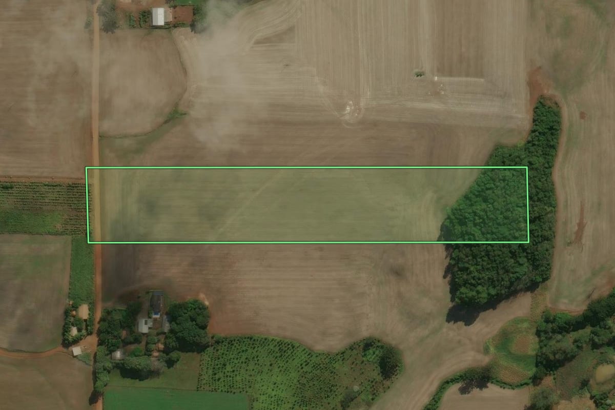 Imagem de satélite do imóvel rural em Áurea (RS), com o contorno declarado no CAR desenhado por cima.