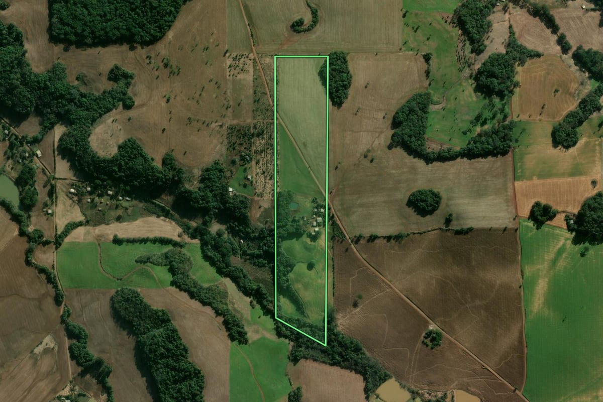 Imagem de satélite do imóvel rural em Áurea (RS), com o contorno declarado no CAR desenhado por cima.