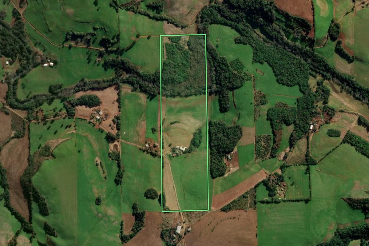 Imagem de satélite do imóvel rural em Áurea (RS), com o contorno declarado no CAR desenhado por cima.