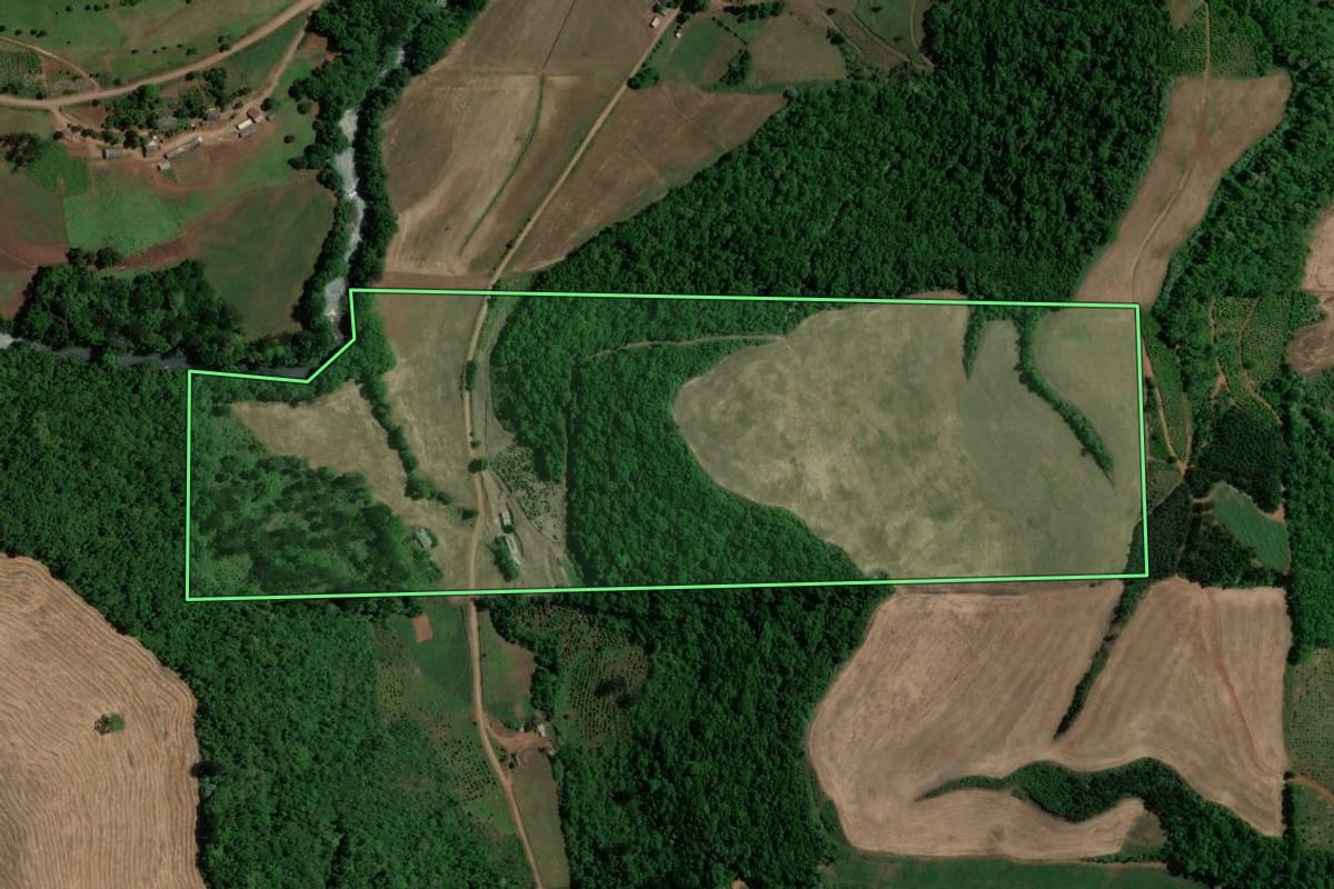 Imagem de satélite do imóvel rural em Áurea (RS), com o contorno declarado no CAR desenhado por cima.