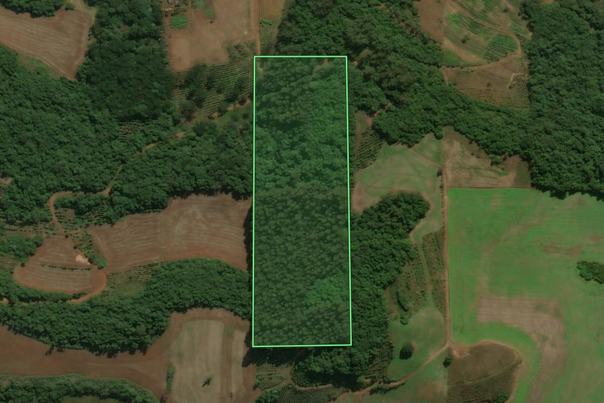 Imagem de satélite do imóvel rural em Áurea (RS), com o contorno declarado no CAR desenhado por cima.