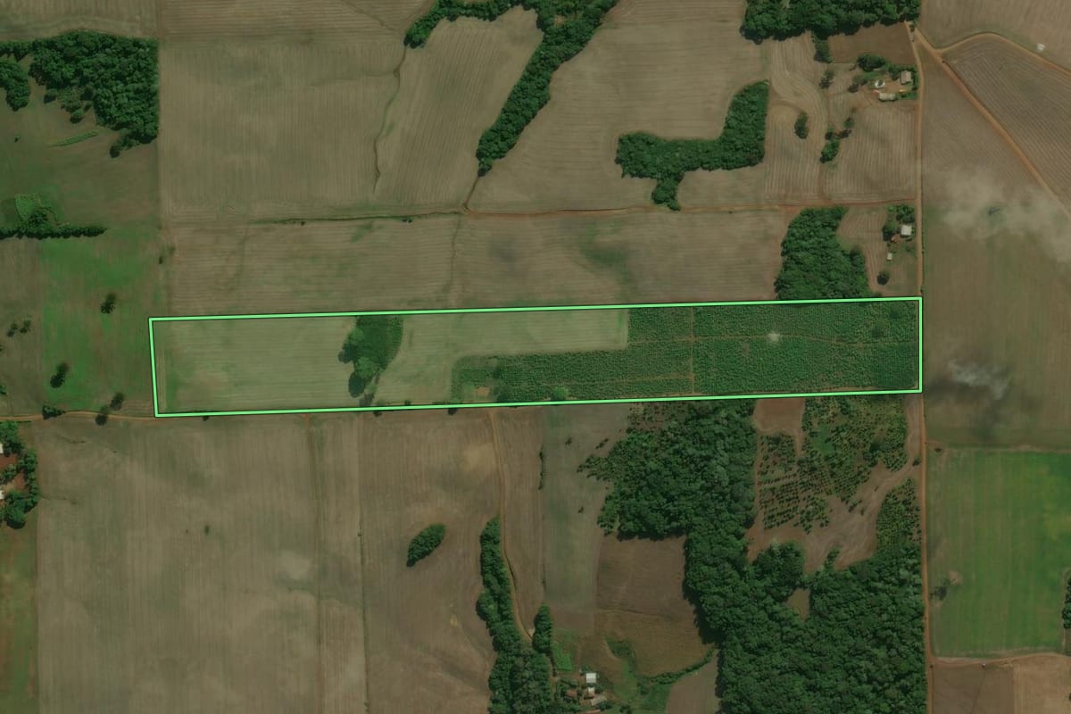 Imagem de satélite do imóvel rural em Áurea (RS), com o contorno declarado no CAR desenhado por cima.
