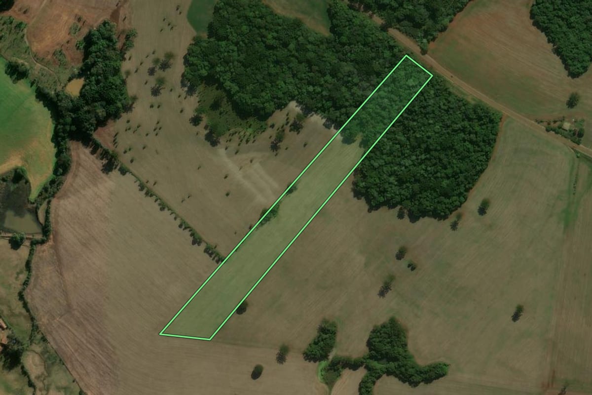 Imagem de satélite do imóvel rural em Áurea (RS), com o contorno declarado no CAR desenhado por cima.