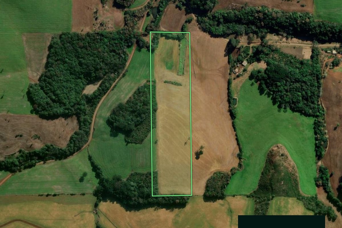 Imagem de satélite do imóvel rural em Áurea (RS), com o contorno declarado no CAR desenhado por cima.