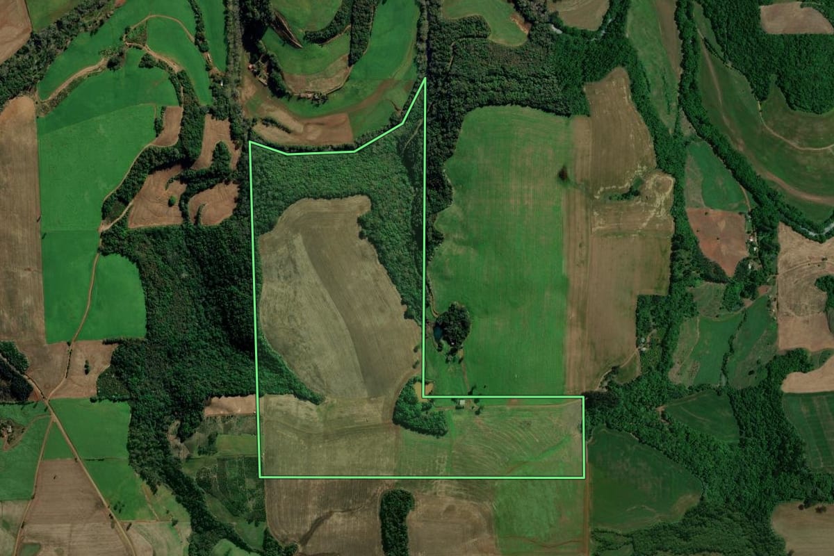 Imagem de satélite do imóvel rural em Áurea (RS), com o contorno declarado no CAR desenhado por cima.