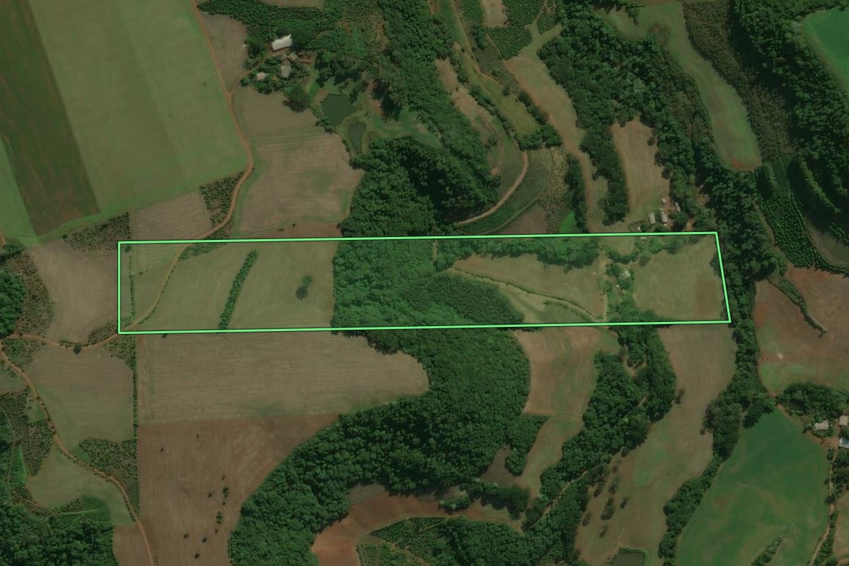 Imagem de satélite do imóvel rural em Áurea (RS), com o contorno declarado no CAR desenhado por cima.