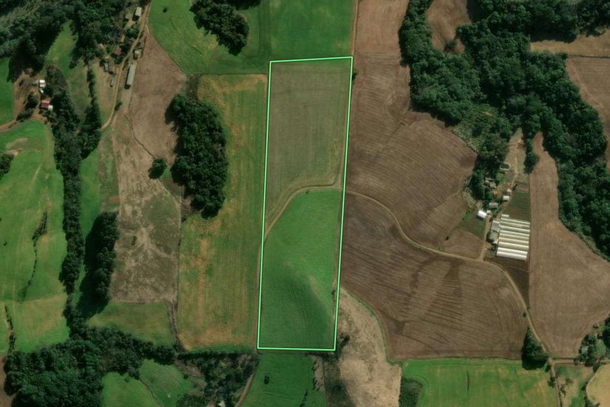 Imagem de satélite do imóvel rural em Áurea (RS), com o contorno declarado no CAR desenhado por cima.
