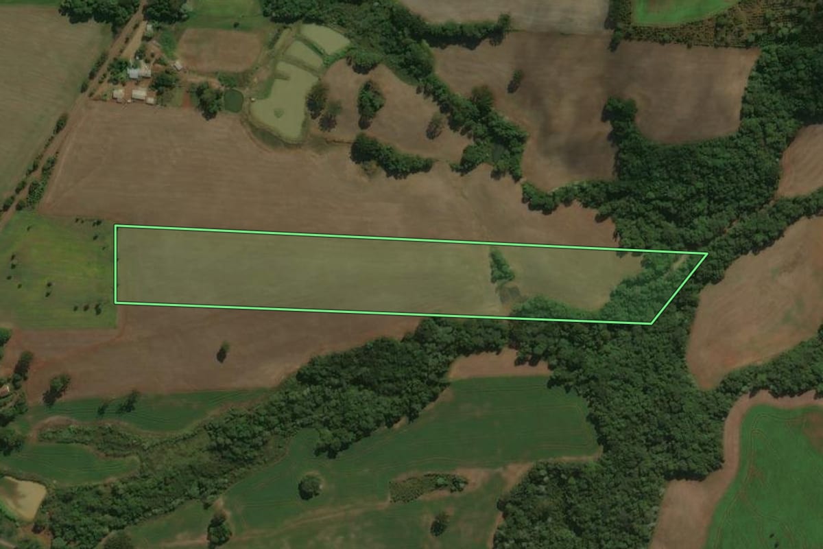 Imagem de satélite do imóvel rural em Áurea (RS), com o contorno declarado no CAR desenhado por cima.